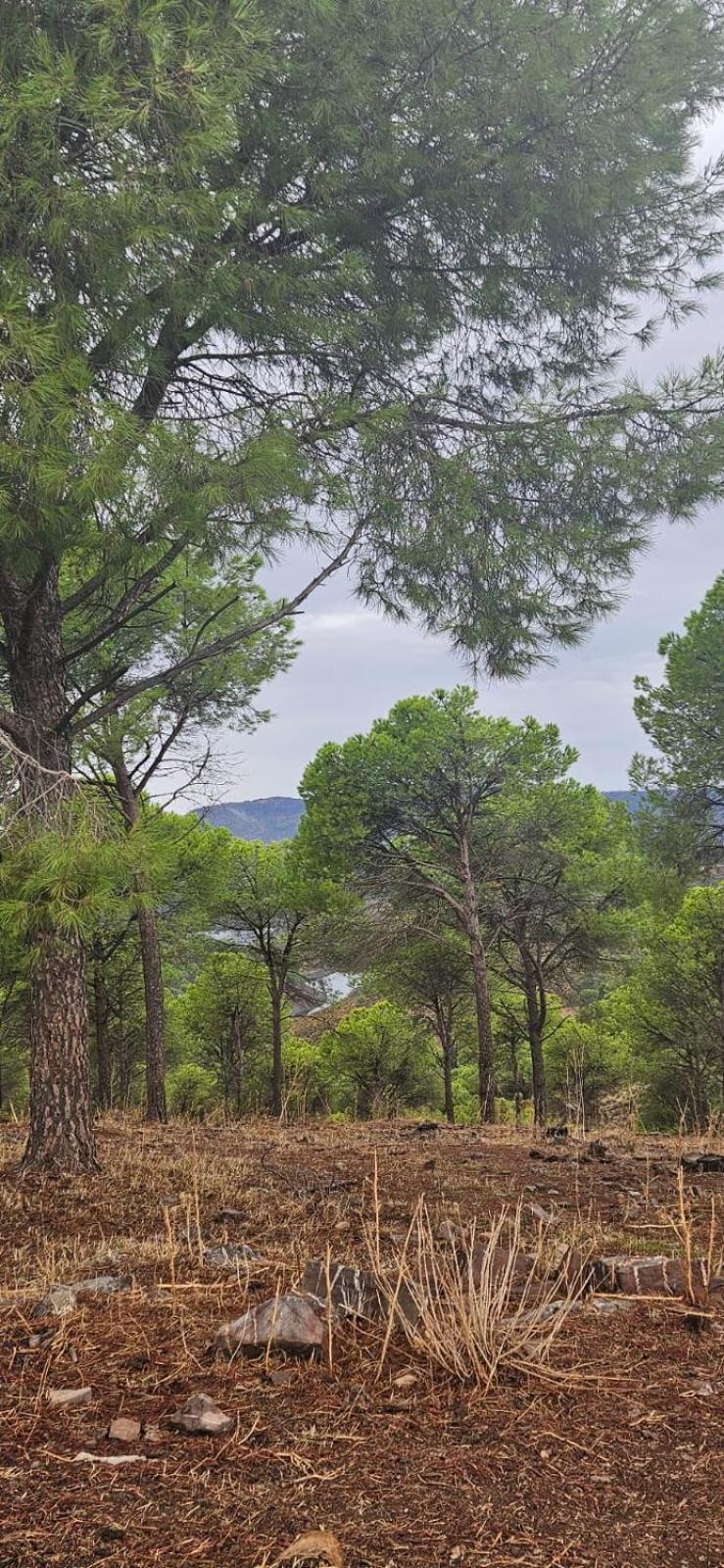 Alojamiento El Camarin Banos De La Encina Exterior foto